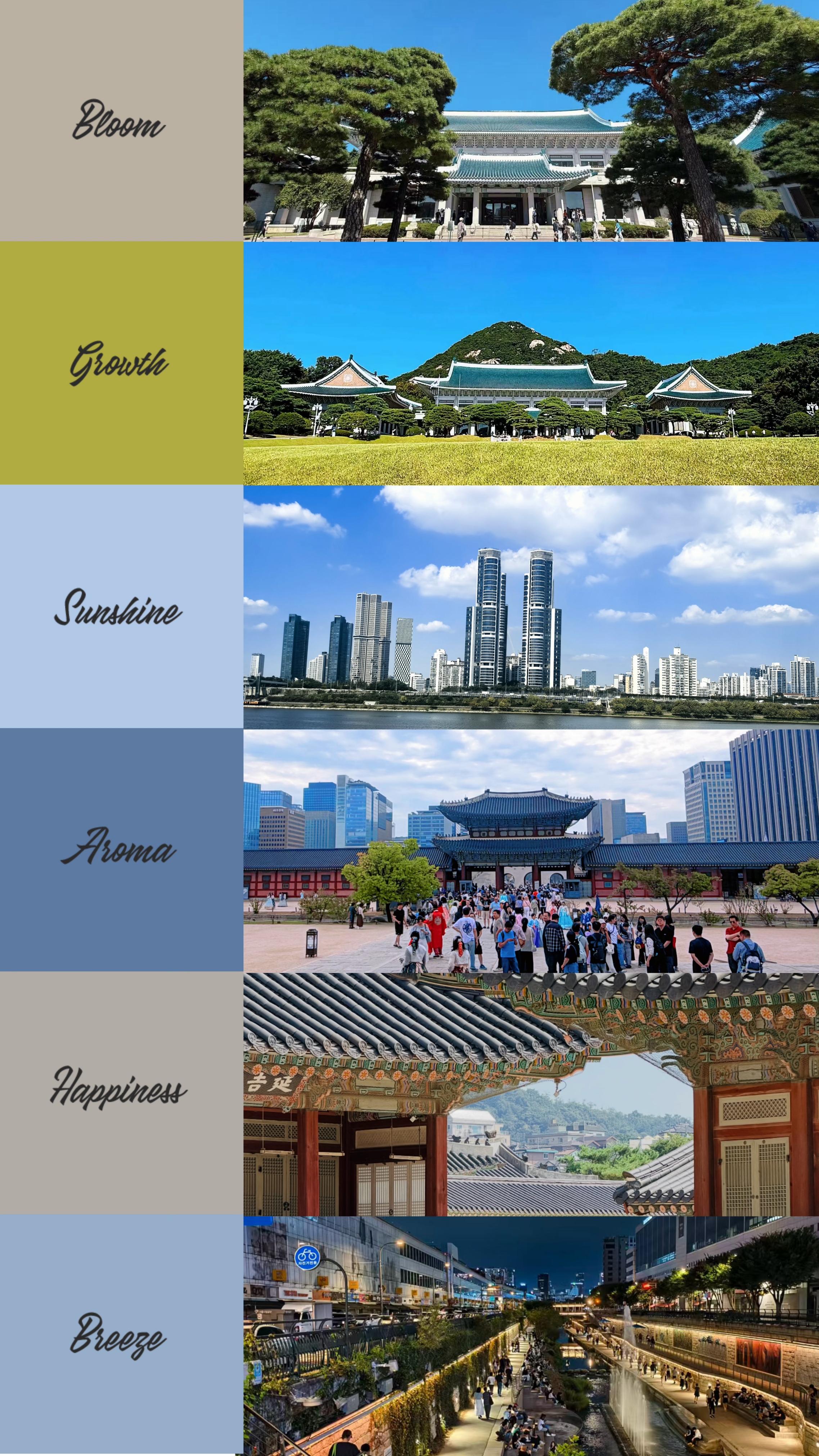 BUIS韩国首尔之旅(图3)
